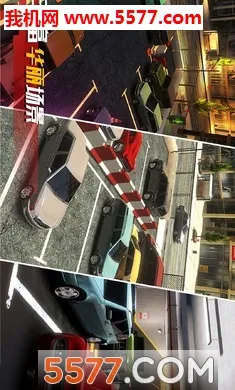 ��ʵͣ������(ģ��ͣ����Ϸ)v1.0.0 �ٷ���