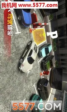 ��ʵͣ������(ģ��ͣ����Ϸ)v1.0.0 �ٷ���
