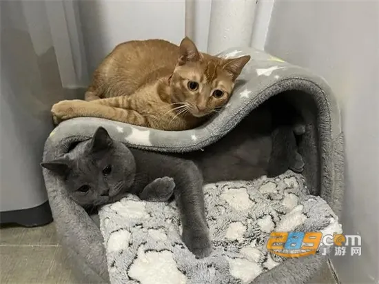 ��ʺ���ռ�(���������¼)