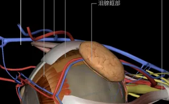 ����3D����ͼ�������ֻ���