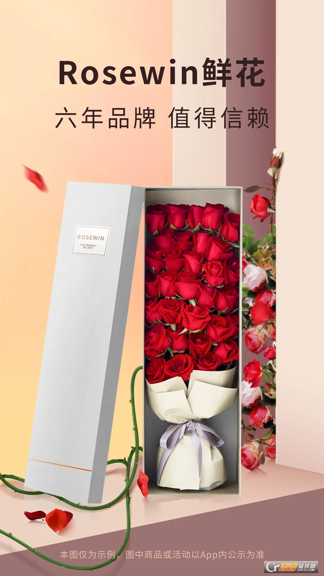 Rosewin�ʻ�2025����v5.8.7 ��Ѱ�
