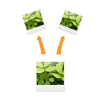 GIF������(GIF�༭����)v3.1.3 �ֻ���
