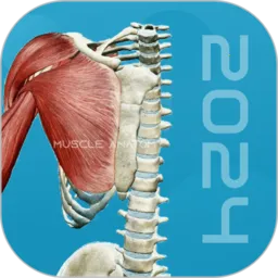 3D�������2025�ٷ�����v1.3 �ٷ���