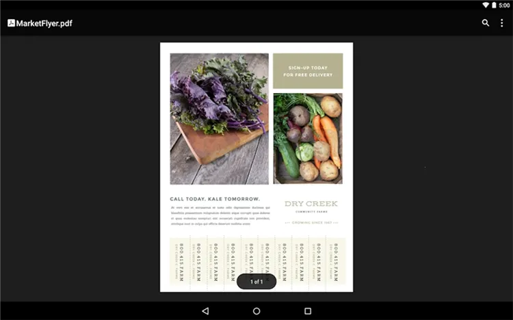 Google PDF Viewer(PDF�鿴��)