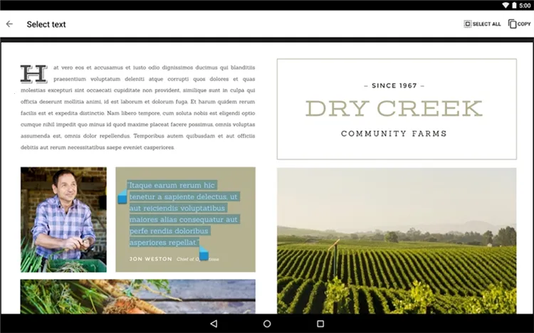 Google PDF Viewer(PDF�鿴��)