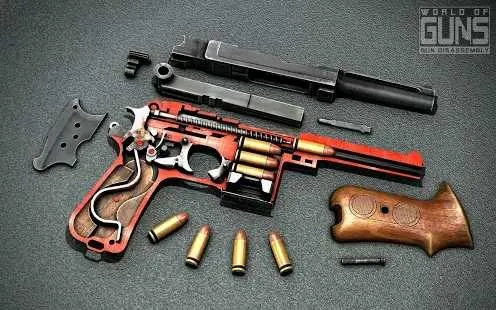 World of Guns2025�ٷ�����v2.2.2a8 ��Ѱ�