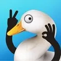 ���ֵ�Ѽ��(Ѽ�Ӵ�����)v1.0.5 �ֻ���