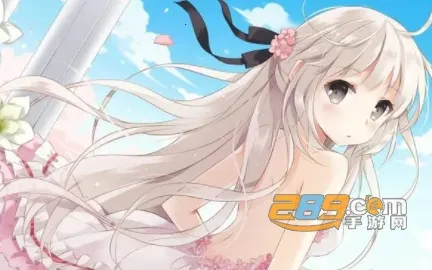 ��������2025���ذ�װ