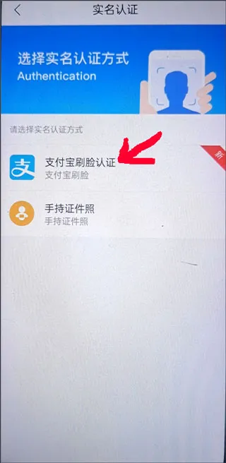 �۵�פ����(פ�����������)