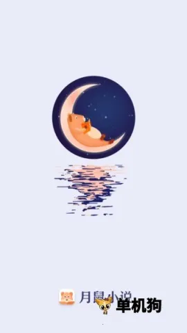 ����С˵(С˵�Ķ�����)