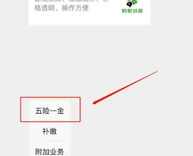 �����籣2025�ٷ����°汾