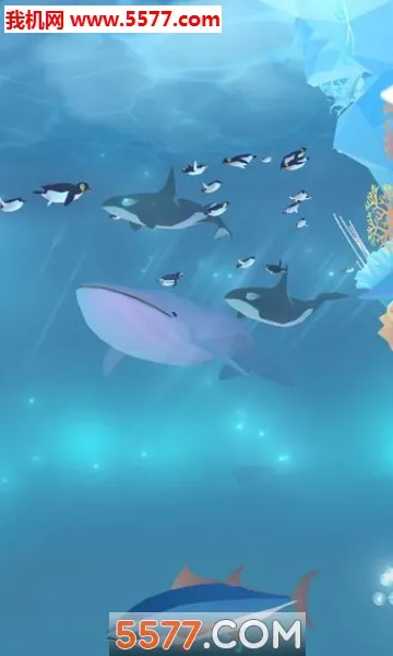 Abyssrium Pole2025����v1.18.4 �ֻ���