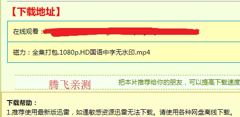 ��������2025���°汾
