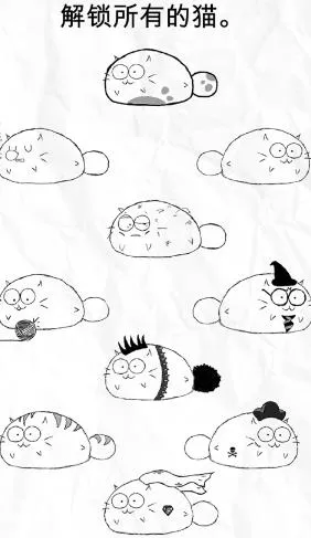 FATTY CAT(ϰ����������)