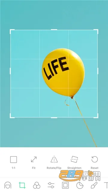 line camera�����ֻ���v16.0.6 �ٷ���