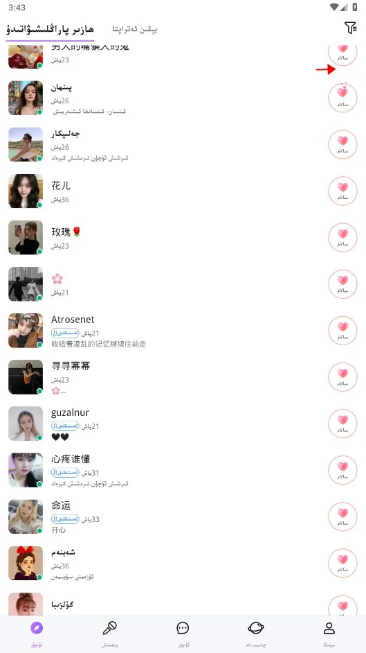 allo2025���°汾