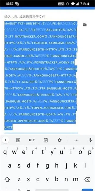 free download manager2025����