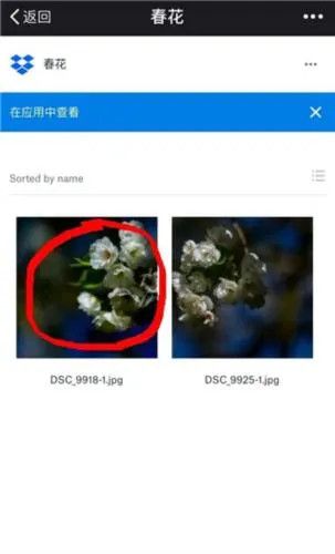 Dropbox(�ļ�ͬ������)