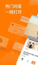 ����ʴ������ֻ���v1.9.1 ��Ѱ�