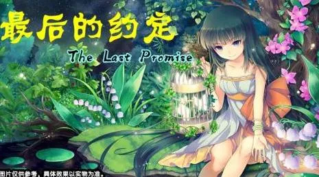 ����Լ��2025���°汾