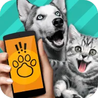 PET TRANSLATOR2025�ٷ����°汾v1.1 ��׿��