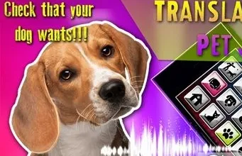 PET TRANSLATOR2025�ٷ����°汾