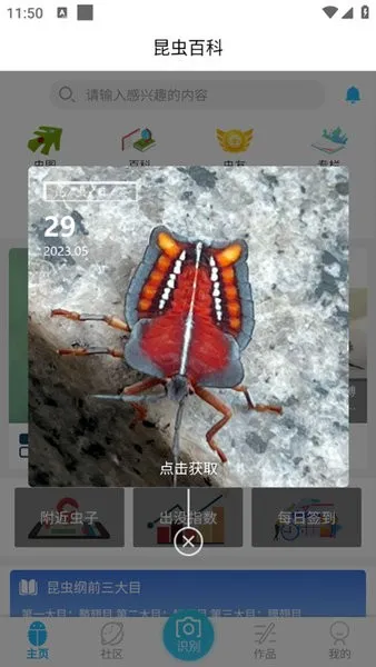 ����ٿ�(����֪ʶƽ̨)