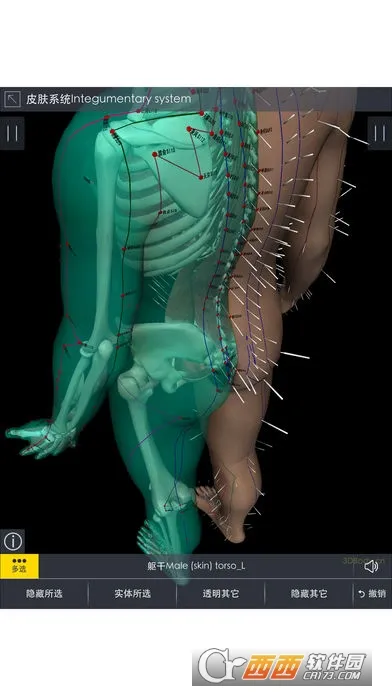 3Dbody����(����ѧϰ����)v8.8.91 �ٷ���