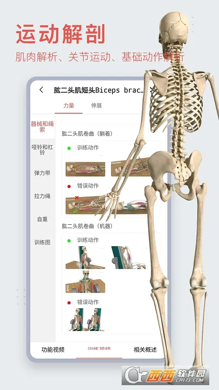 3Dbody����(����ѧϰ����)v8.8.91 �ٷ���