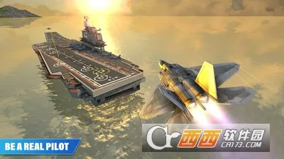����ģ����v110 �ٷ���