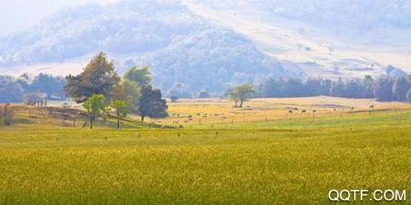 Ѱ����ý