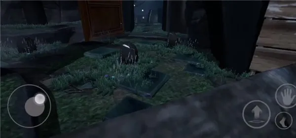 δ֪������2026����