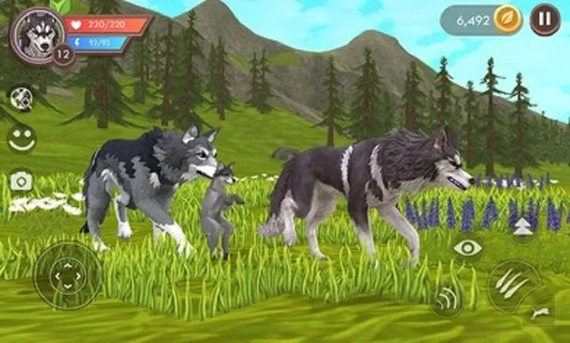 WildCraft2026�ٷ�����v36.1_powervr ��׿��