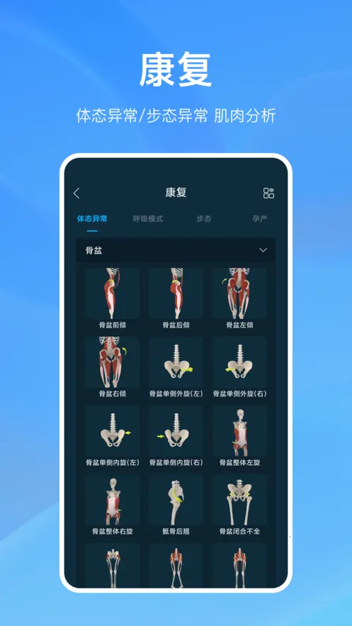 ���ʴ�ʦ2026���°汾v5.3.0 �ٷ���