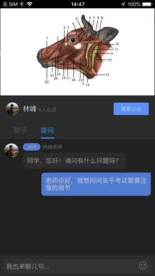 �޿���2026�ٷ����°汾